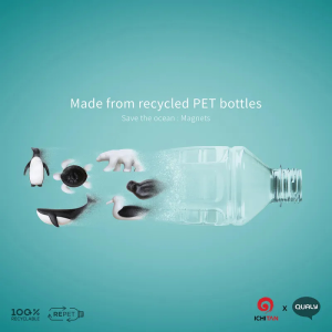 Havsdjur magneter, 6 st