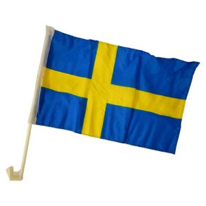 Bilflaggor med stång, 2-pack