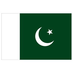 Pakistan 250 cm flagga