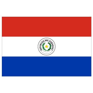 Paraguay (flagga)