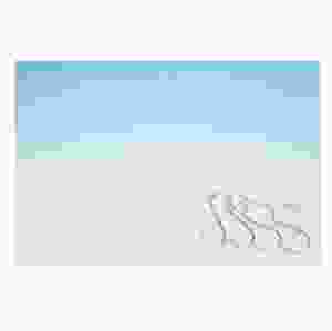 Upphängningskit för hostskydd