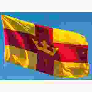 Svenska kyrkan flagga