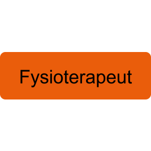 Yrkesbricka Fysioterapeut