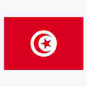 Tunisien (bordsflagga)
