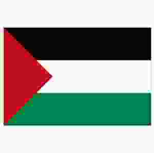 Palestina (flagga)