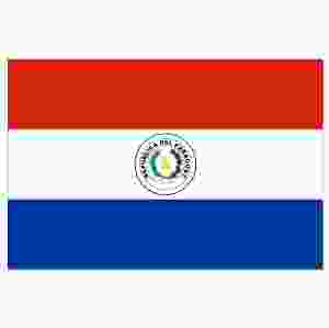Paraguay (flagga)