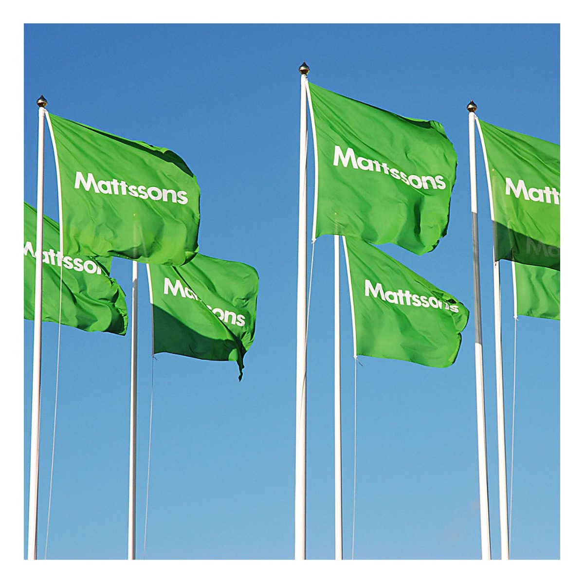 208128451-origpic-14b3ef