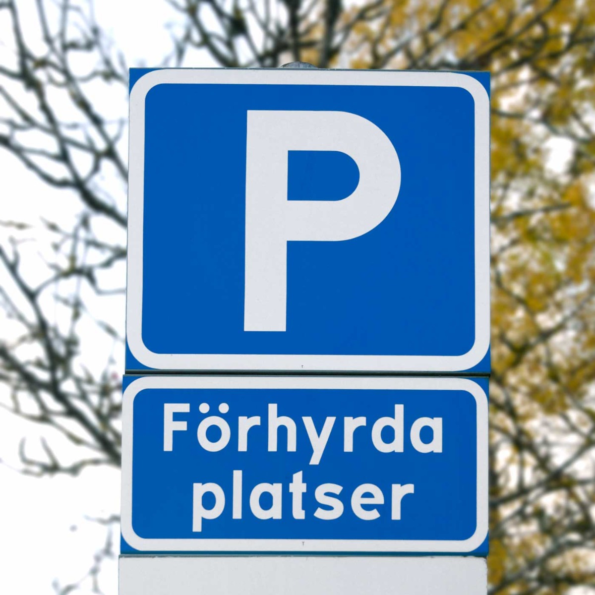 grp-gridimage-3f2f24